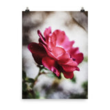 Blooming Solo Photo Poster-Enhanced Matte Print-18×24-