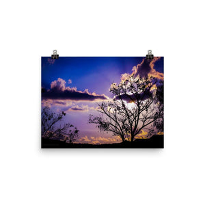 Purple Sky Photo Poster-Premium Luster Print-16×20-Ana Rose LLC